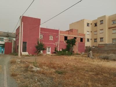 announcementPage.land à announcementPage.buy 0 pièces 3330 m² étage 0/0 83.3 دج Ben badis (22) - Image 7/17