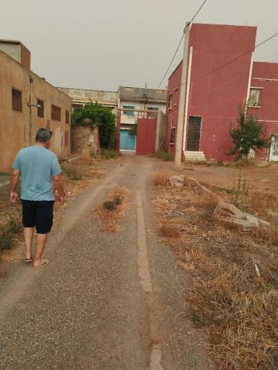 announcementPage.land à announcementPage.buy 0 pièces 3330 m² étage 0/0 83.3 دج Ben badis (22) - Image 6/17