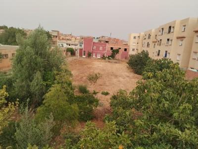 announcementPage.land à announcementPage.buy 0 pièces 3330 m² étage 0/0 83.3 دج Ben badis (22) - Image 13/17