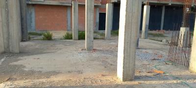 announcementPage.land à announcementPage.buy 0 pièces 163 m² étage 0/0 4.5 دج Chebli (9) - Image 2/5