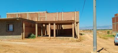 Vente Terrain Aïn Defla Djelida