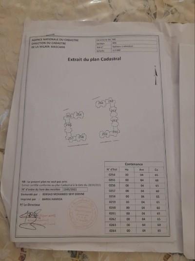 announcementPage.land à announcementPage.buy 0 pièces 5100 m² étage 0/0 20000 دج Sig (29) - Image 3/6