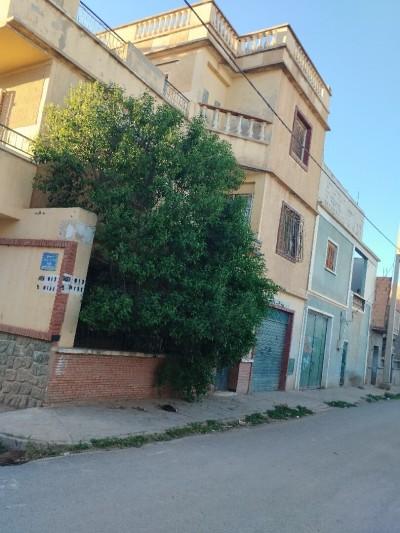 announcementPage.house à announcementPage.buy 10 pièces 230 m² étage 0/0 18 دج Sidi lahcene (22) - Image 3/14