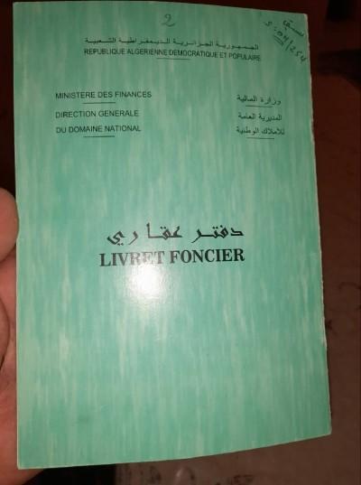 announcementPage.land à announcementPage.buy 0 pièces 5100 m² étage 0/0 20000 دج Sig (29) - Image 5/6