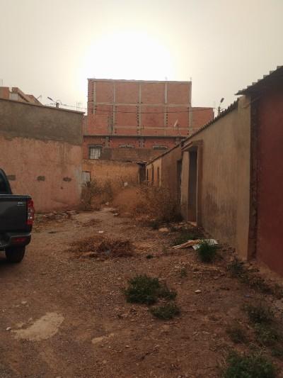 announcementPage.land à announcementPage.buy 0 pièces 3330 m² étage 0/0 83.3 دج Ben badis (22) - Image 17/17