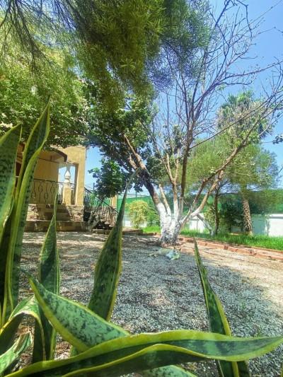 announcementPage.house à announcementPage.rent 0 pièces 0 m² étage 0/0 12345 دج Tipaza (42) - Image 10/23