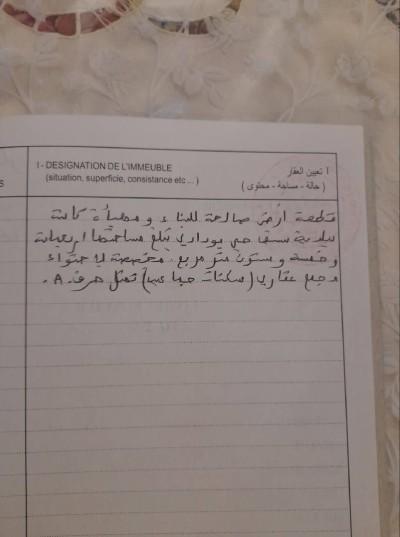 announcementPage.land à announcementPage.buy 0 pièces 5100 m² étage 0/0 20000 دج Sig (29) - Image 2/6